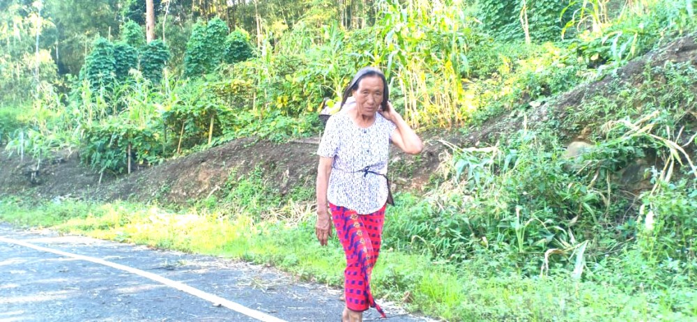 A woman in Ao traditional mekhala (Züngijang, or Waro Süpedi in Ao language) returns from a field in Alichen area under Mokokchung district on August 22. Naga women going to the fields wearing traditional mekhalas are rare sight nowadays since many of them prefer wearing comfortable clothing including pants to work in the fields. (Morung photo by K. Filip Sumi)